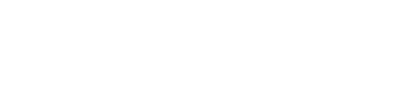 飛陽商務網Logo